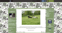 Desktop Screenshot of cheval-passion-68.skyrock.com