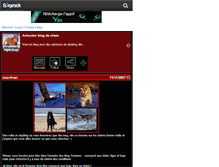 Tablet Screenshot of annuairechien-tigre-loup.skyrock.com