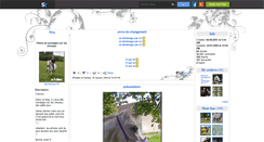 Desktop Screenshot of leschevaux16.skyrock.com
