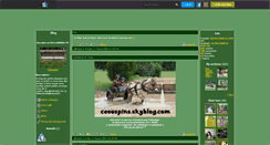 Desktop Screenshot of ceouspins.skyrock.com