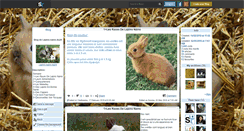 Desktop Screenshot of lapins-nains-du24.skyrock.com