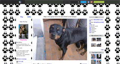 Desktop Screenshot of baxythedog.skyrock.com