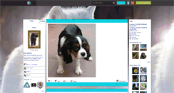 Desktop Screenshot of chic-chien.skyrock.com
