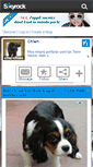 Mobile Screenshot of chic-chien.skyrock.com