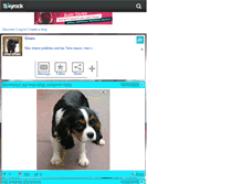 Tablet Screenshot of chic-chien.skyrock.com