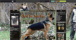 Desktop Screenshot of berger-allemand-gris.skyrock.com