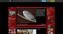 Desktop Screenshot of mybirds.skyrock.com