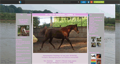 Desktop Screenshot of gad-horse.skyrock.com