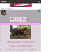 Tablet Screenshot of gad-horse.skyrock.com