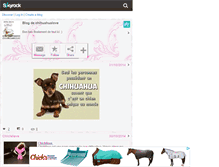 Tablet Screenshot of chihuahualove.skyrock.com