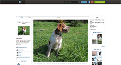 Desktop Screenshot of cody-epagneul-breton.skyrock.com