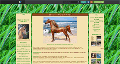 Desktop Screenshot of le-haras-du-sable-d-or.skyrock.com