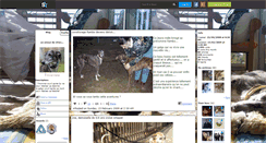 Desktop Screenshot of levrier-galgo.skyrock.com