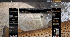 Desktop Screenshot of lesamisdelaguinguette.skyrock.com