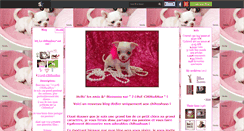 Desktop Screenshot of i-l0ve-chihuahua.skyrock.com