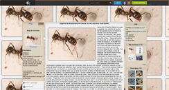 Desktop Screenshot of fourmis0.skyrock.com