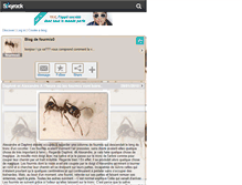 Tablet Screenshot of fourmis0.skyrock.com