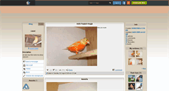 Desktop Screenshot of canari12840.skyrock.com