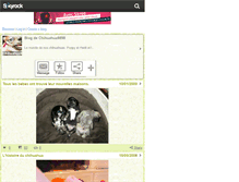 Tablet Screenshot of chihuahua9898.skyrock.com