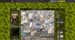 Desktop Screenshot of lespilets78.skyrock.com