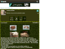 Tablet Screenshot of cobaye58.skyrock.com