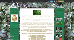 Desktop Screenshot of magic-shrooms.skyrock.com