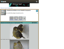 Tablet Screenshot of canarischampenois.skyrock.com