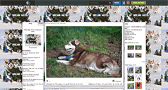 Desktop Screenshot of crazyhusky.skyrock.com