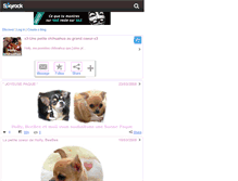 Tablet Screenshot of holly-chihuahua.skyrock.com