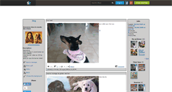 Desktop Screenshot of chiensdetouterace.skyrock.com