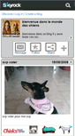 Mobile Screenshot of chiensdetouterace.skyrock.com