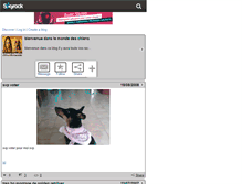 Tablet Screenshot of chiensdetouterace.skyrock.com