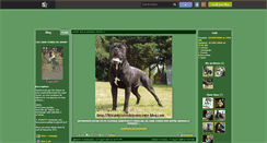 Desktop Screenshot of jenny9247.skyrock.com
