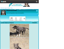 Tablet Screenshot of elyss-amstaff.skyrock.com