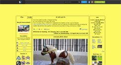 Desktop Screenshot of harasschleich.skyrock.com