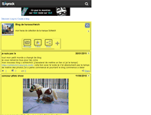 Tablet Screenshot of harasschleich.skyrock.com