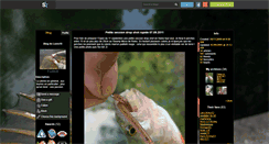 Desktop Screenshot of lures10.skyrock.com