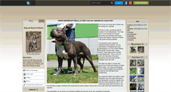 Desktop Screenshot of new-era-pitbulls.skyrock.com