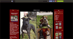 Desktop Screenshot of americandreamdogz.skyrock.com