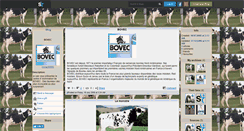 Desktop Screenshot of bovec56890.skyrock.com