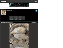 Tablet Screenshot of canarysyria.skyrock.com