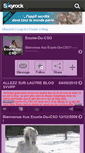 Mobile Screenshot of ecurie-du-cso.skyrock.com