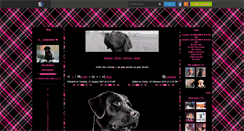 Desktop Screenshot of love-labradors.skyrock.com