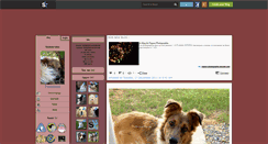 Desktop Screenshot of fitt-border-colley.skyrock.com