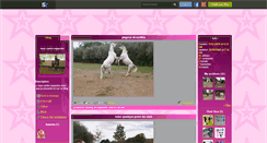 Desktop Screenshot of centre-equestre-de-torcy.skyrock.com