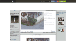 Desktop Screenshot of fotosdechats.skyrock.com