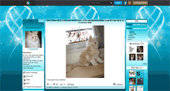Desktop Screenshot of maincoon59.skyrock.com