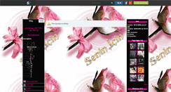 Desktop Screenshot of missevelyne22.skyrock.com