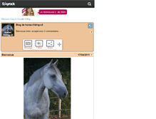 Tablet Screenshot of horse-riiding-x3.skyrock.com