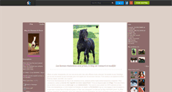 Desktop Screenshot of chevaux-a-placer.skyrock.com